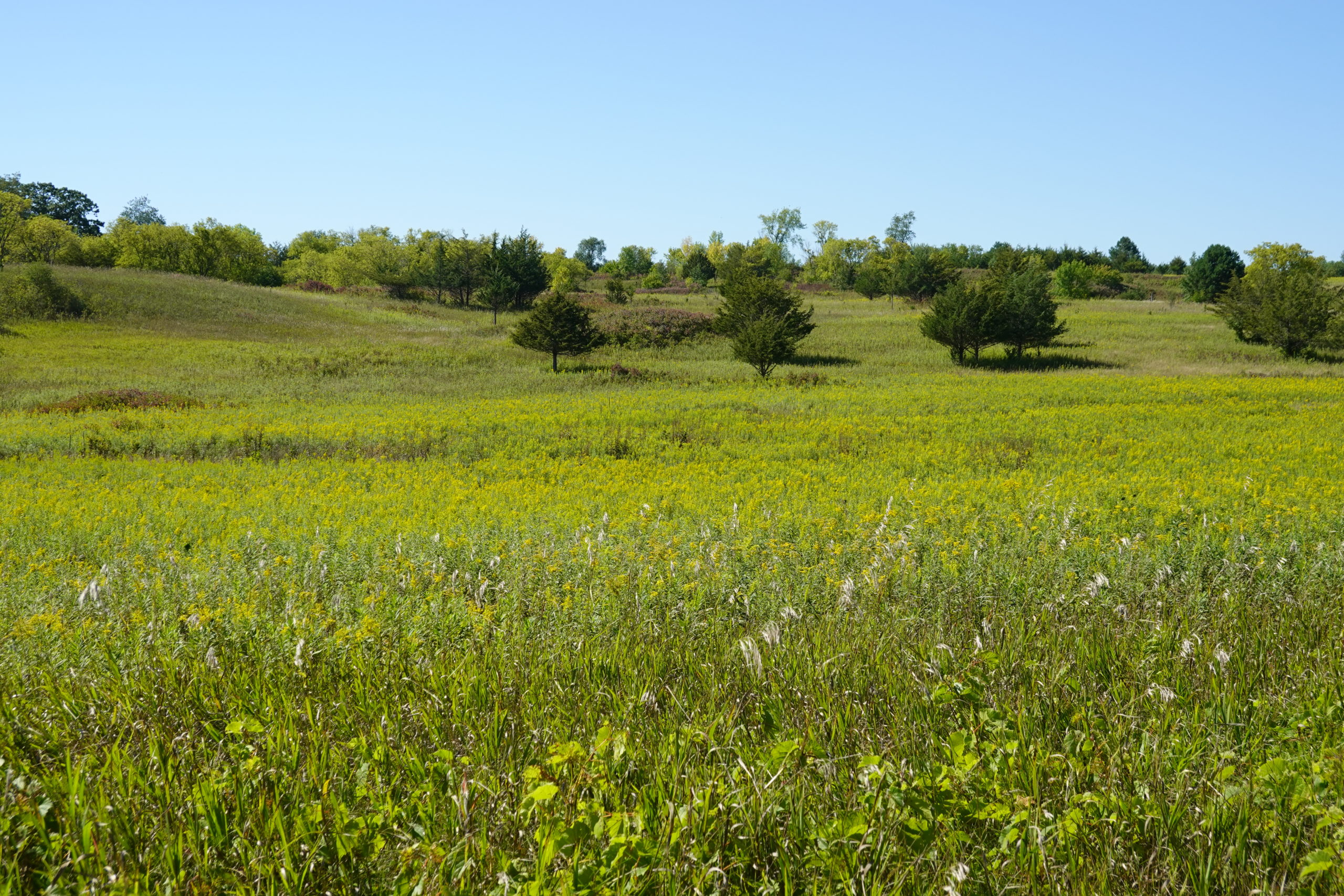 Afton State Park